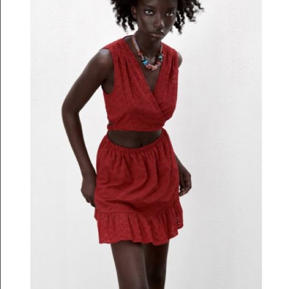 Zara Openwork Embroidered Mini Dress